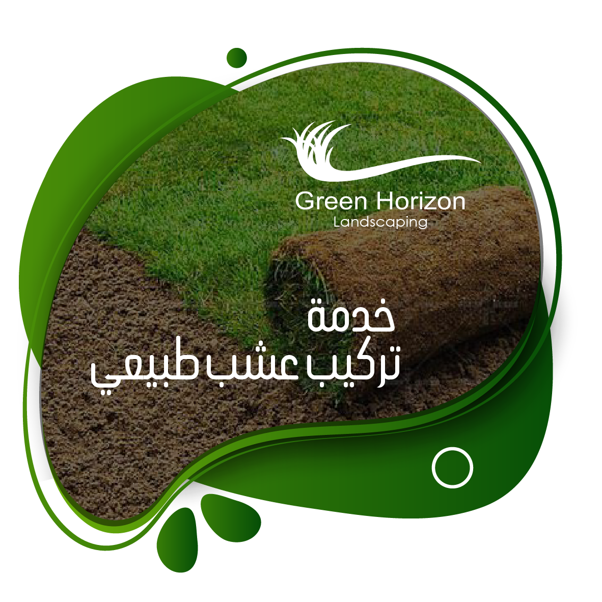Read more about the article خدمة زراعة عشب طبيعي