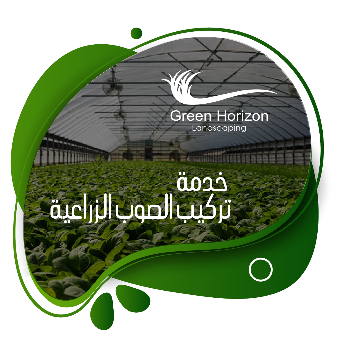 Read more about the article خدمه تركيب الصوب الزراعيه
