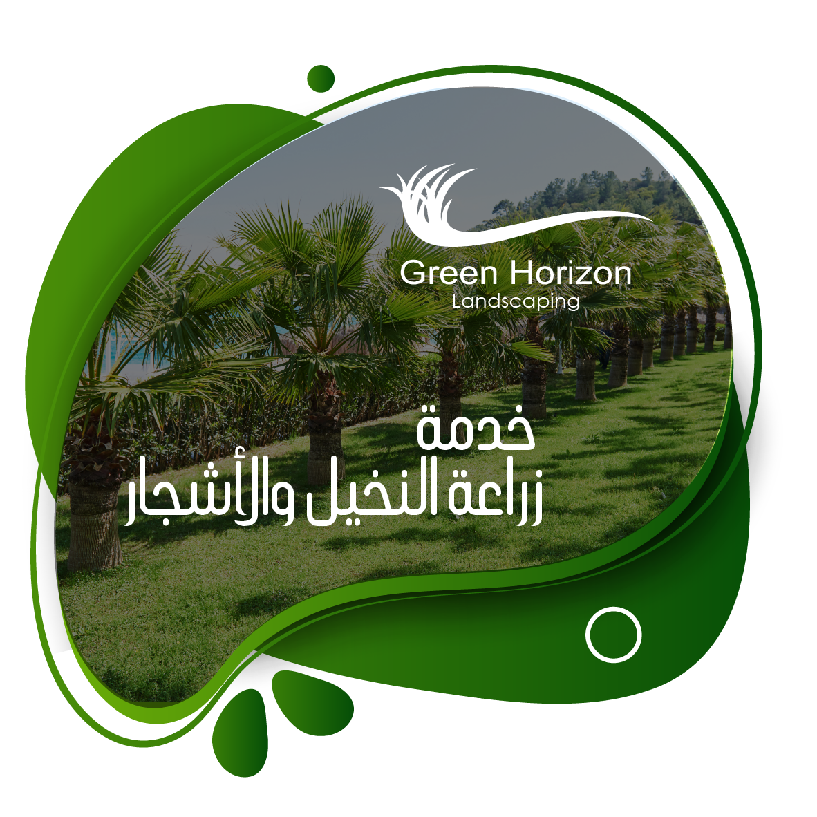 Read more about the article خدمة زراعة النخيل والأشجار